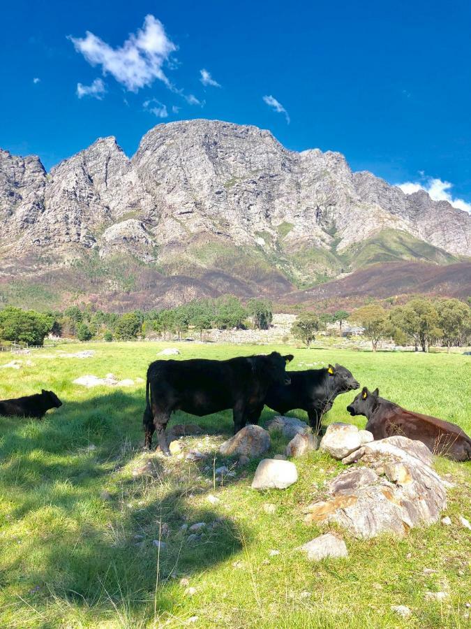 Pensjonat The Barn In Franschoek Franschhoek Zewnętrze zdjęcie