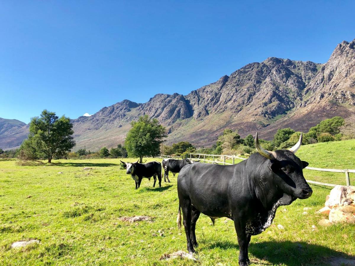 Pensjonat The Barn In Franschoek Franschhoek Zewnętrze zdjęcie